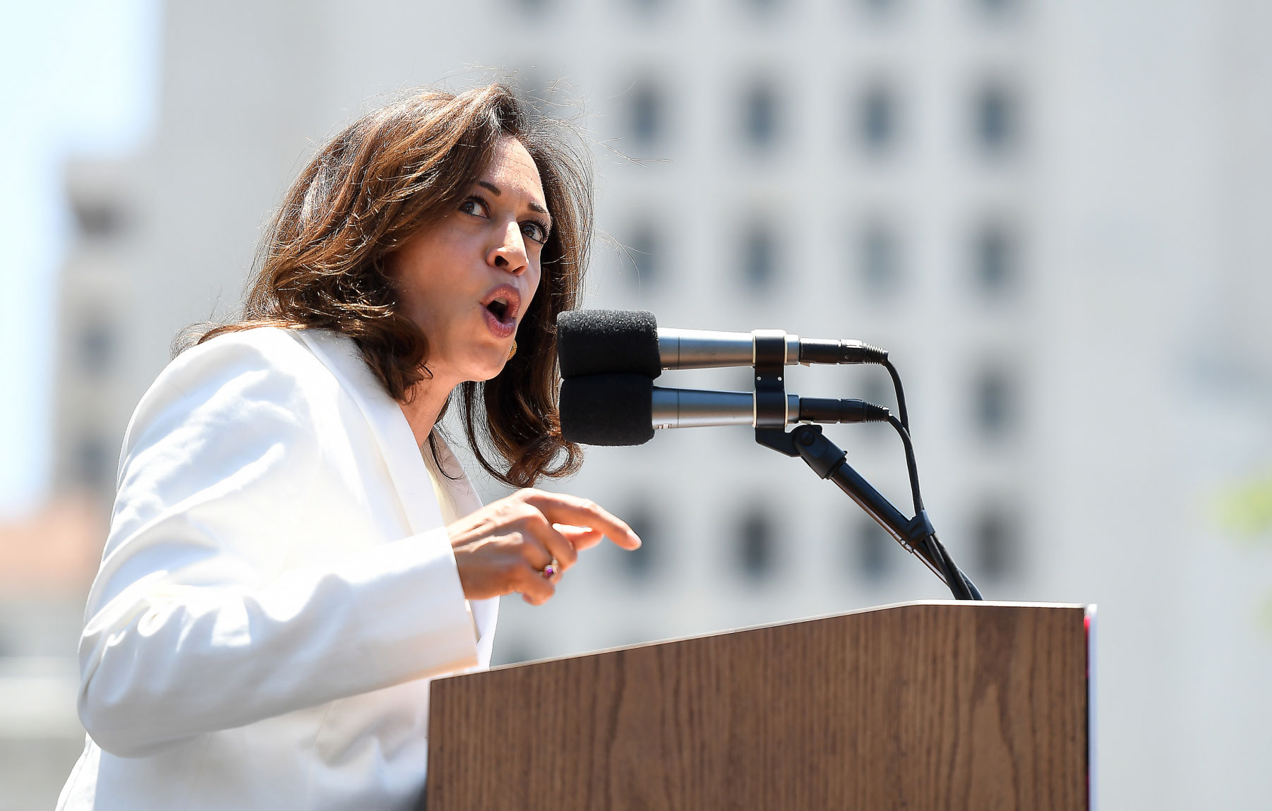 Immigrant advocate